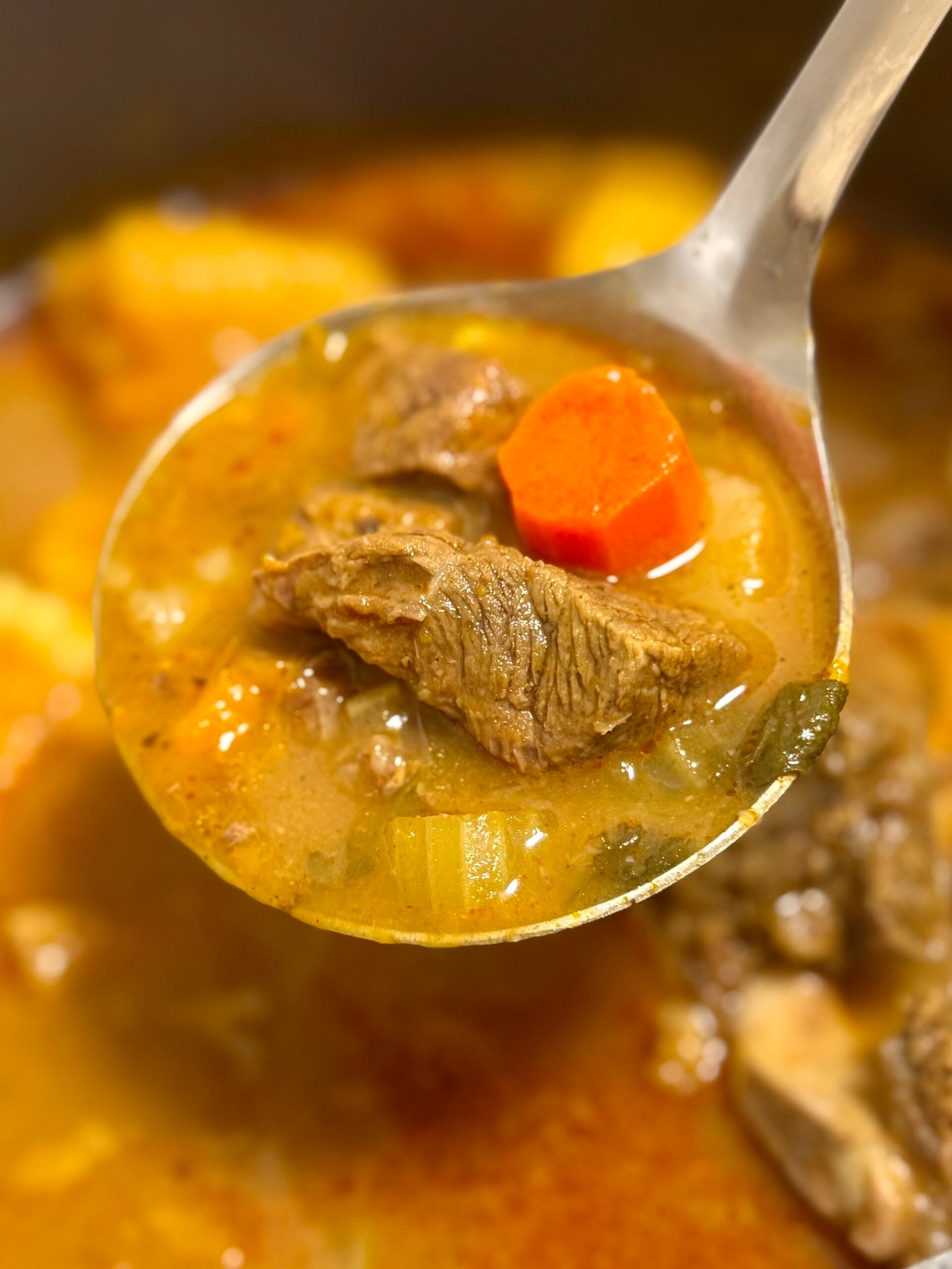 sopa de res