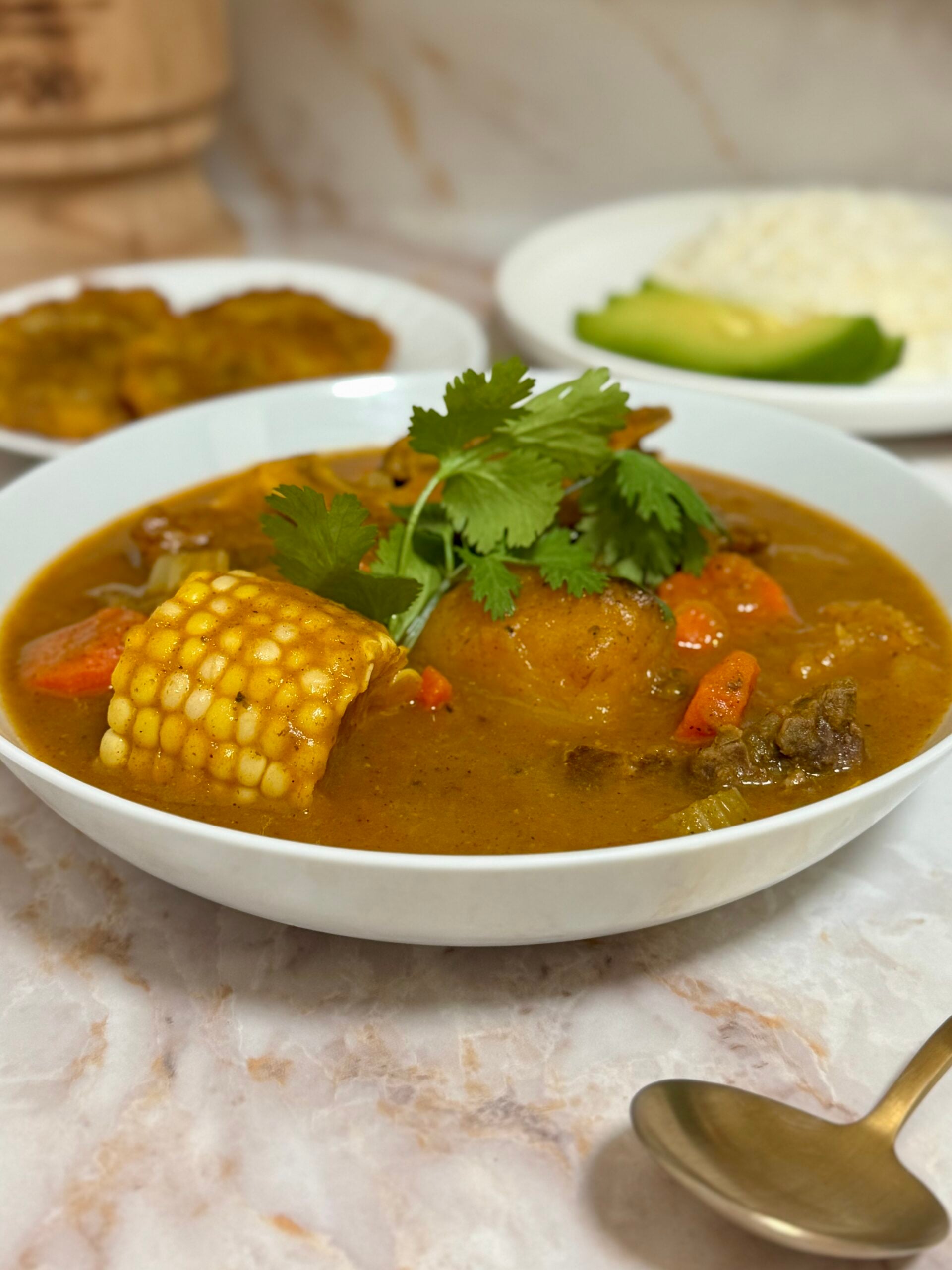 sopa de res